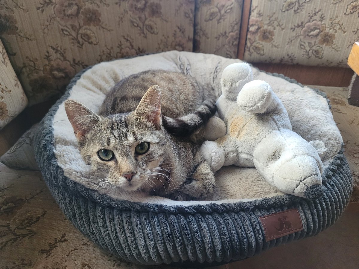 𝕭𝖗𝖎 tweet media