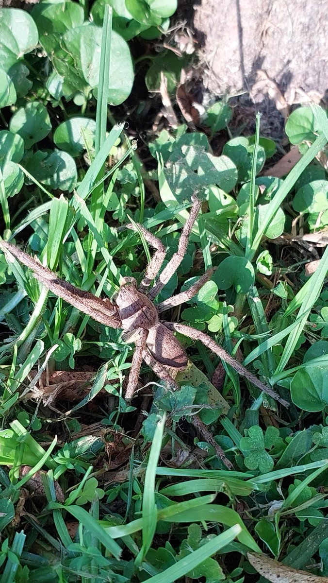 Gareth Stephenson tweet media