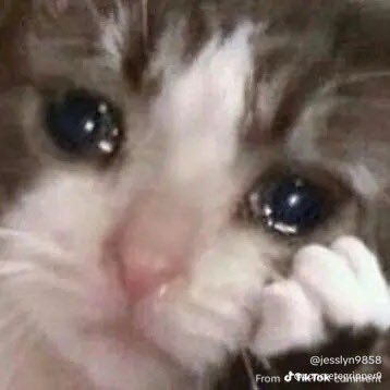 Me after my fav Nascar cup driver is sidelined and probably out of championship contention 
#ally48