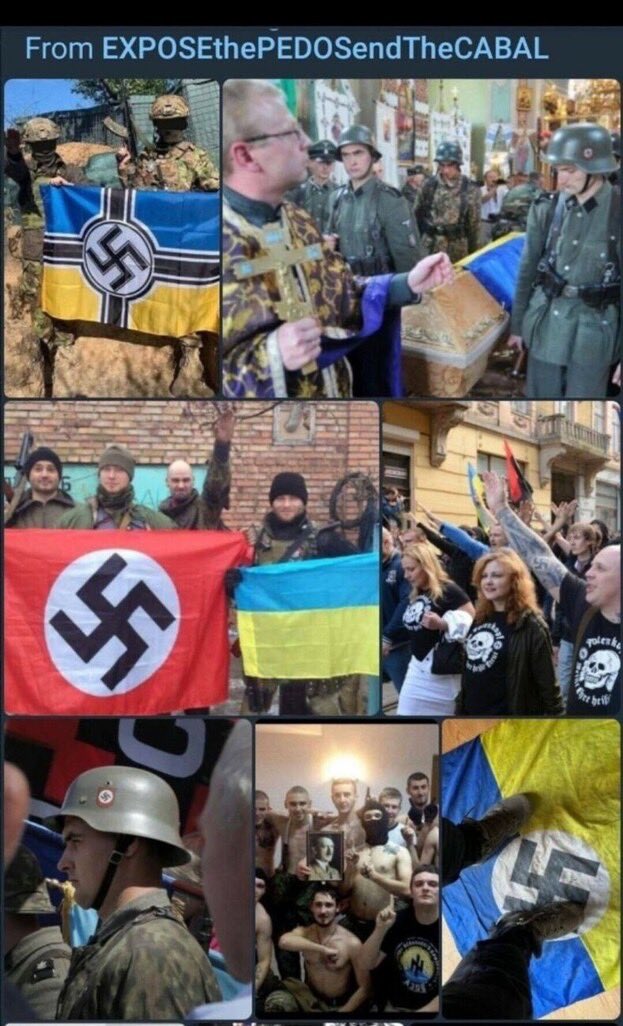 David Taylor 🇺🇸 FJB 🇺🇸 tweet media