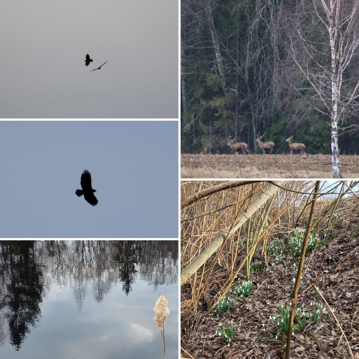 Inese Zepa tweet media