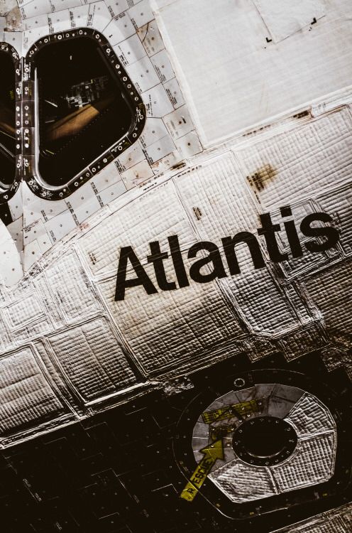 🇺🇸 Based Americana 🇺🇸 tweet media