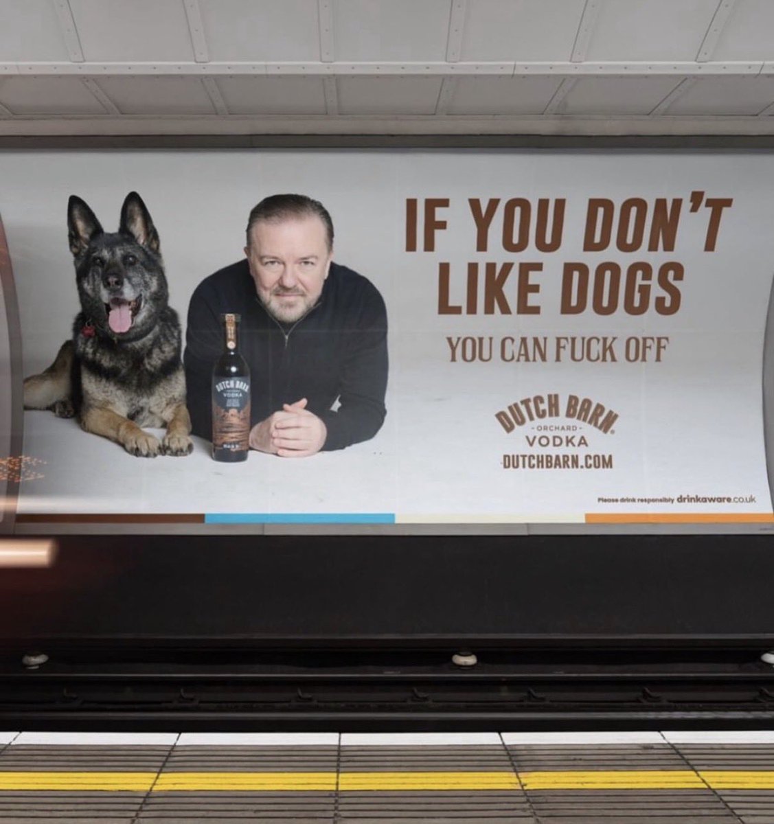 Space Vet tweet media