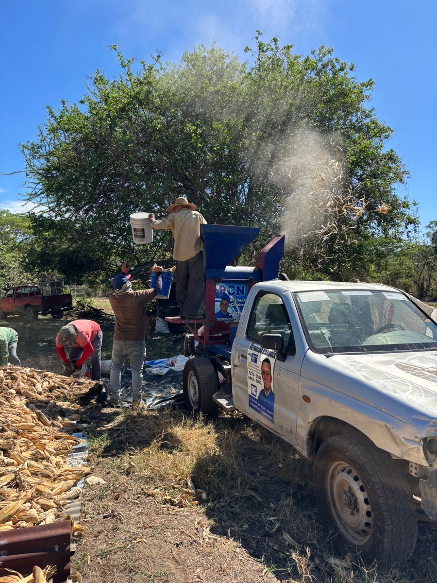 Reynaldo Cardoza tweet media