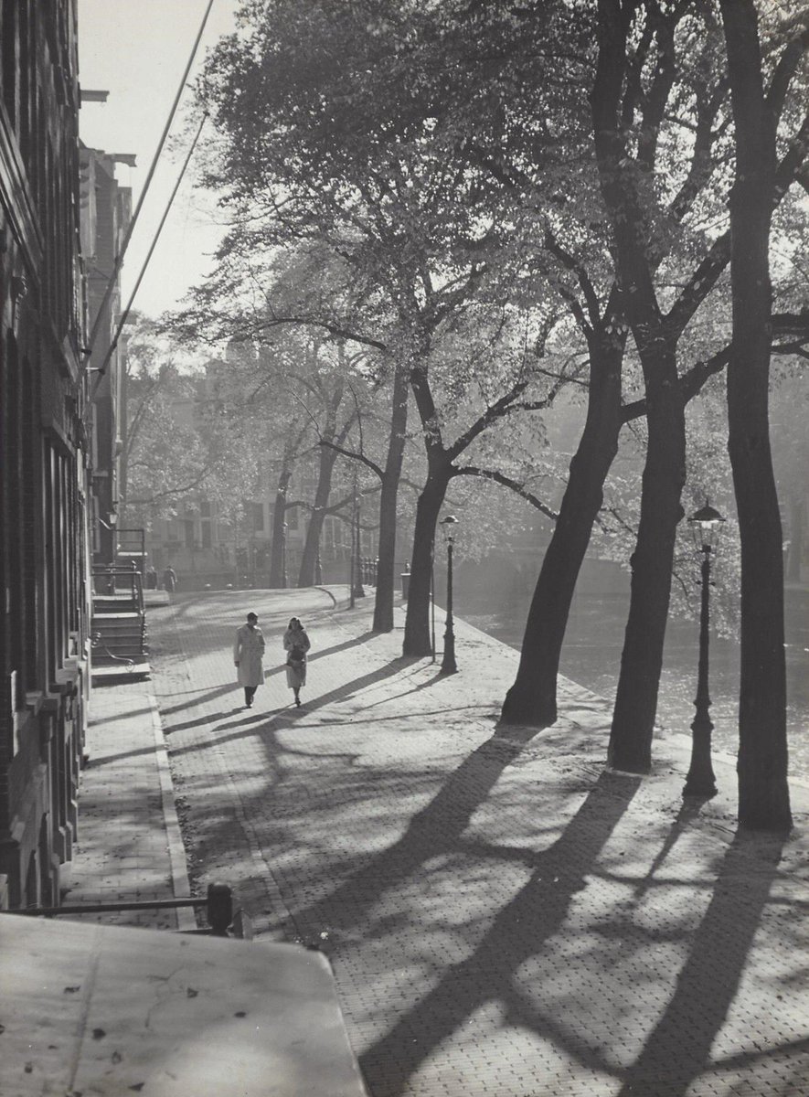 Normunds X. tweet media