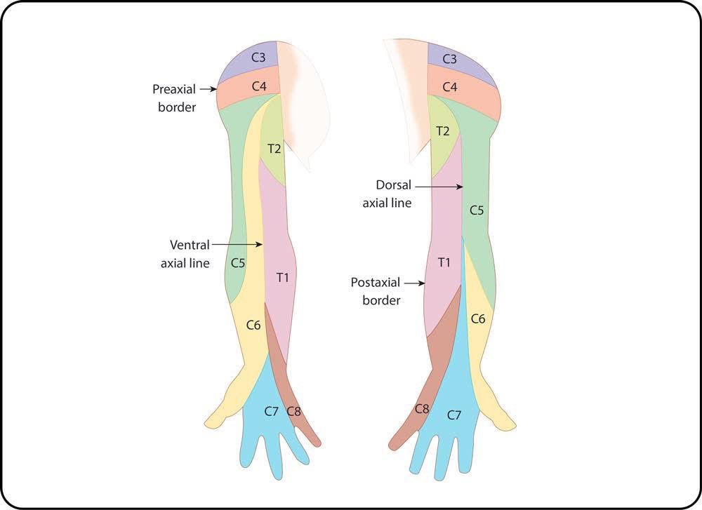 Seraj Ajaj tweet media