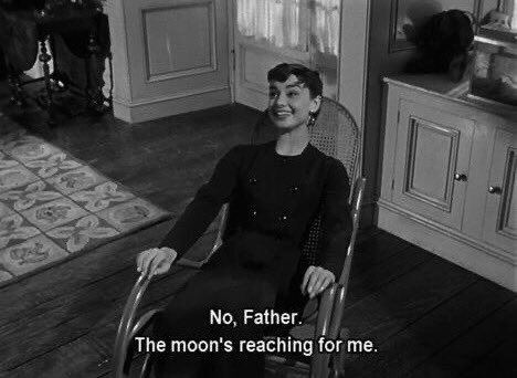 liz 𝜗𝜚 ࣪ tweet media