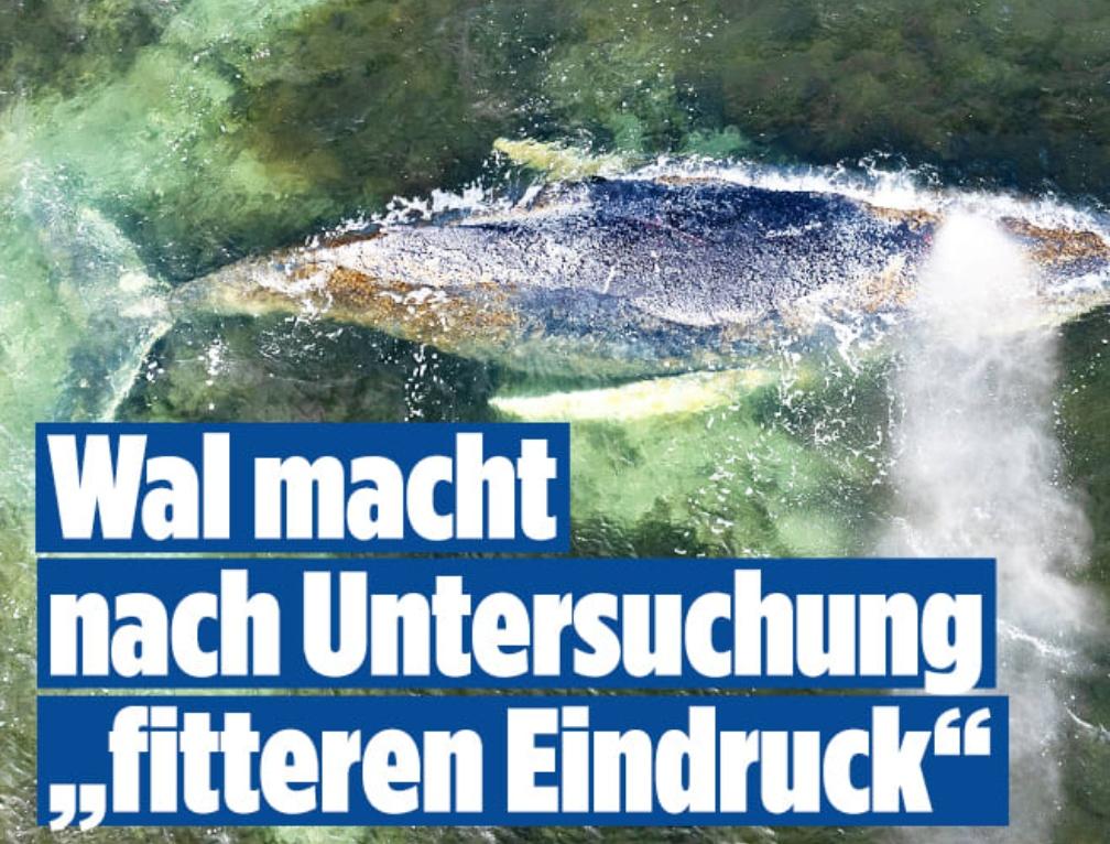 Siegvarg tweet media