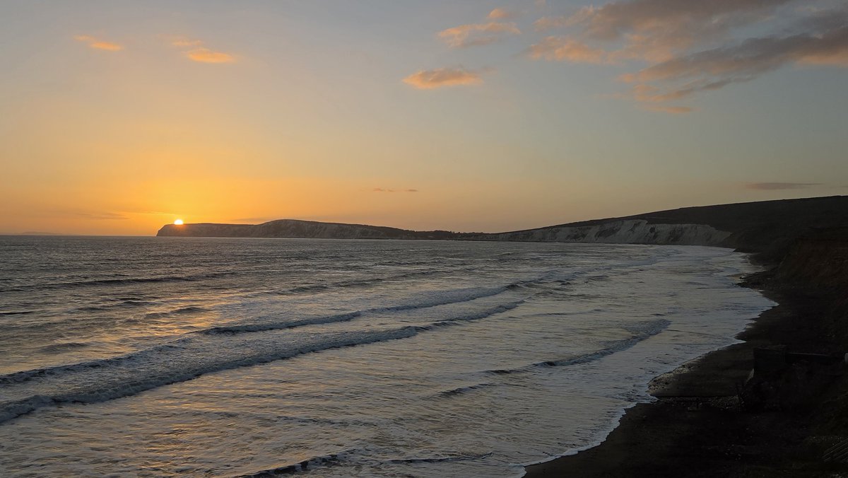 Dick_B 🌻🌽🌾🍍🥔 tweet media