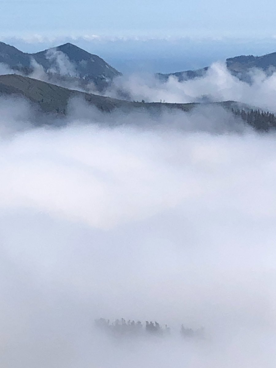 Jose Mari Azpiazu tweet media