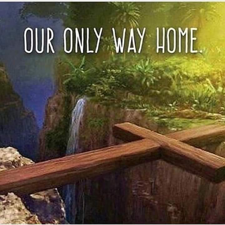 Marcia ✝️🙏 (@marciameckley) on Twitter photo 