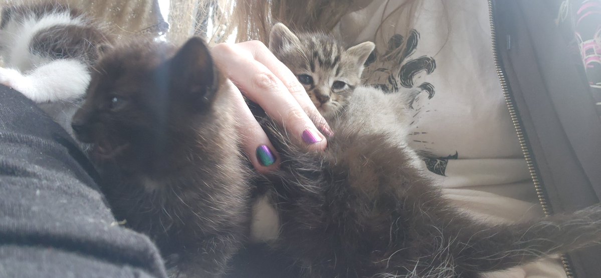 May Dawn 命🌺 tweet media