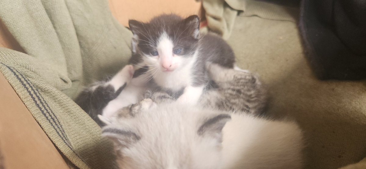 May Dawn 命🌺 tweet media