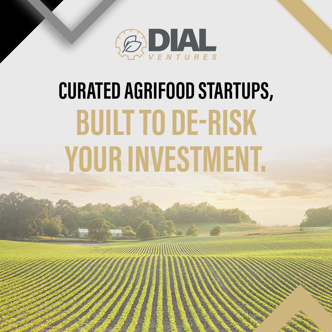 dialventures tweet media