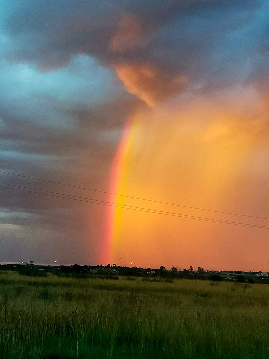 ReenvalSA tweet media