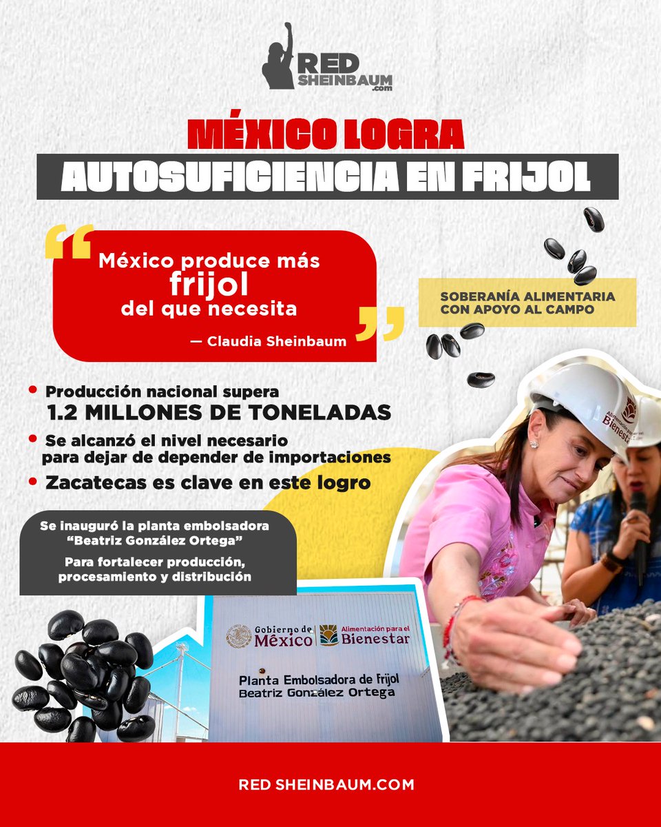 Red Sheinbaum tweet media