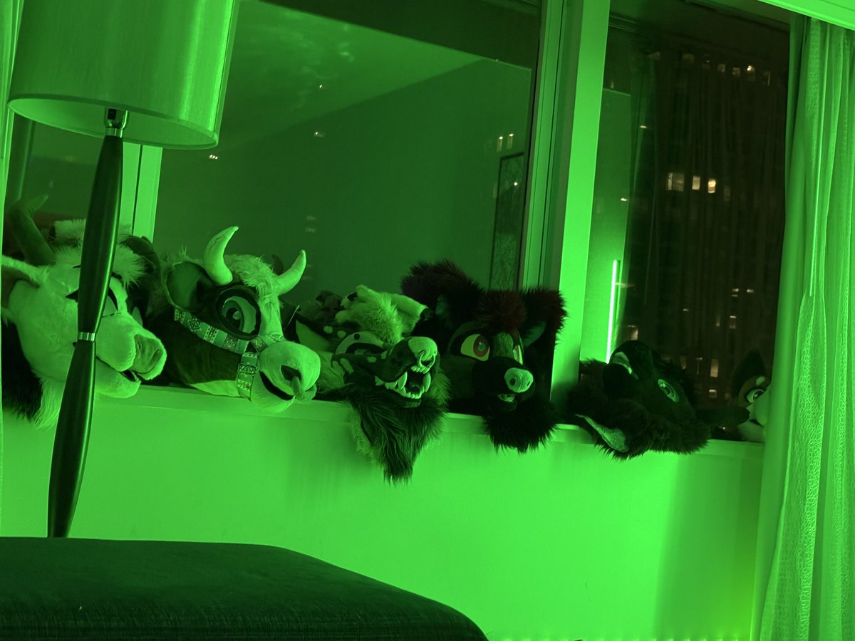 🤠Montana🐮🔜 tweet media