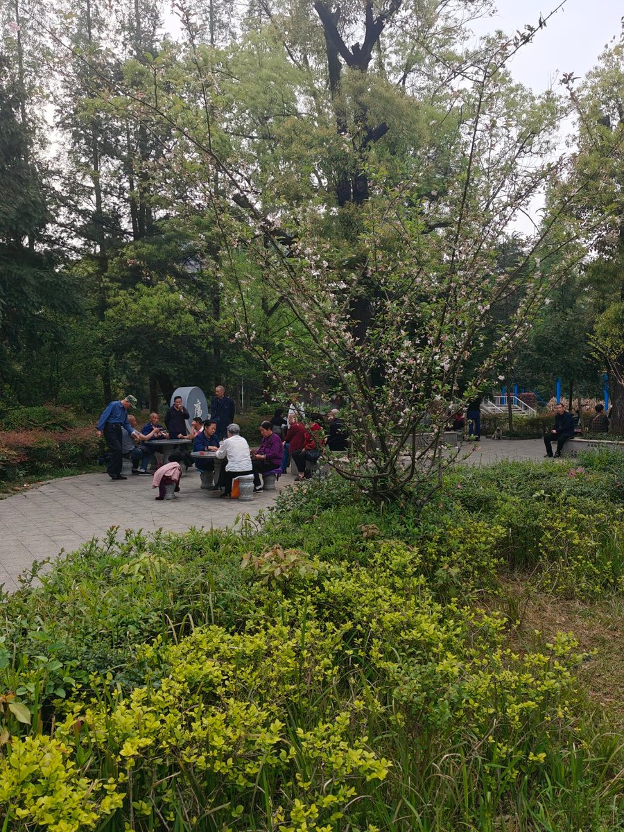 Tink's Tea Party tweet media