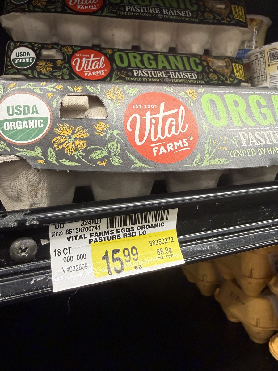 ⚫️ queenvictoria tweet media