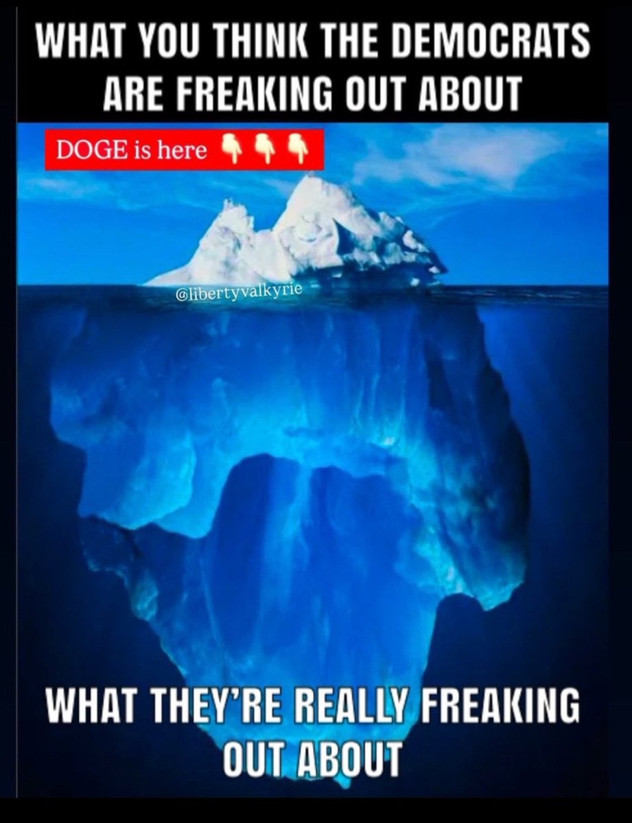 Lisa Swilley tweet media