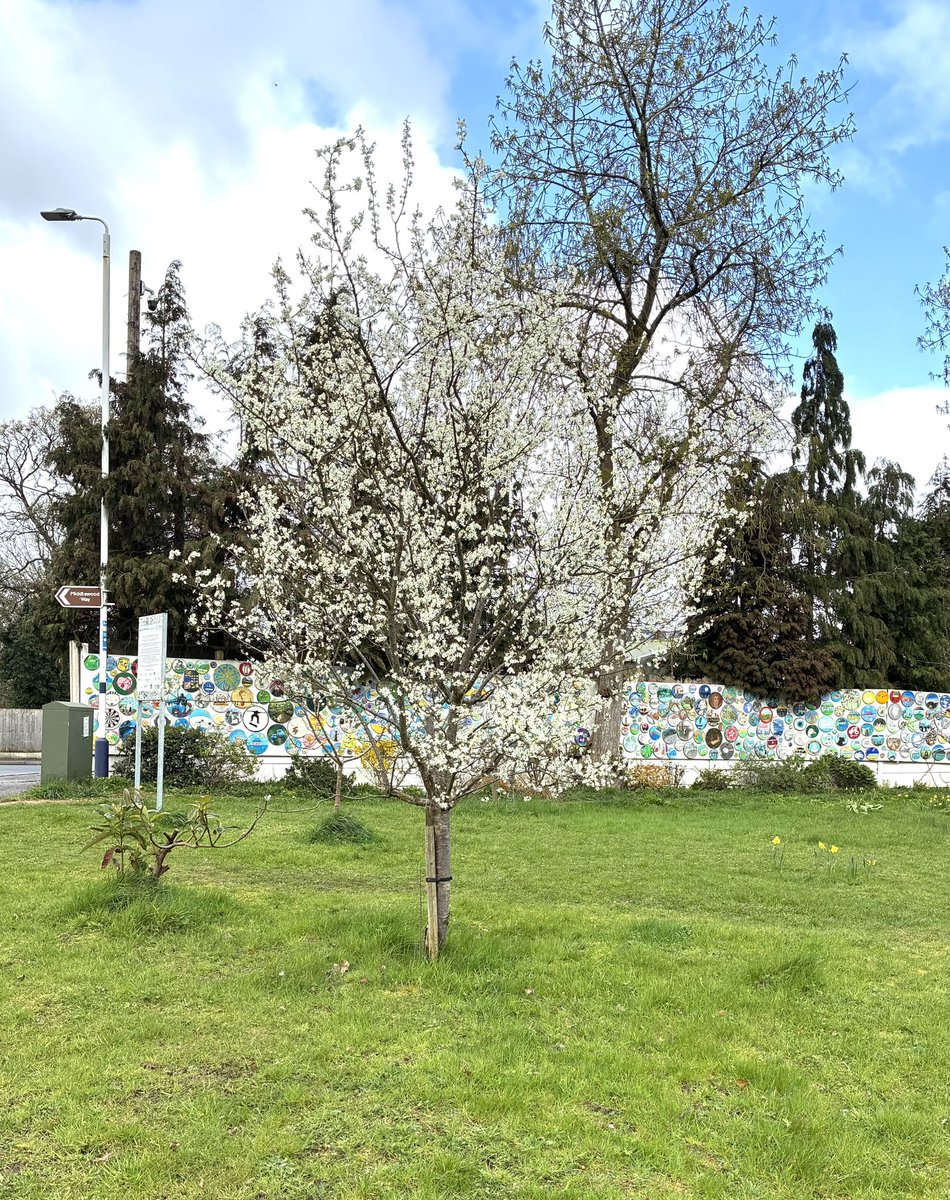 FoRoseHillStation tweet media