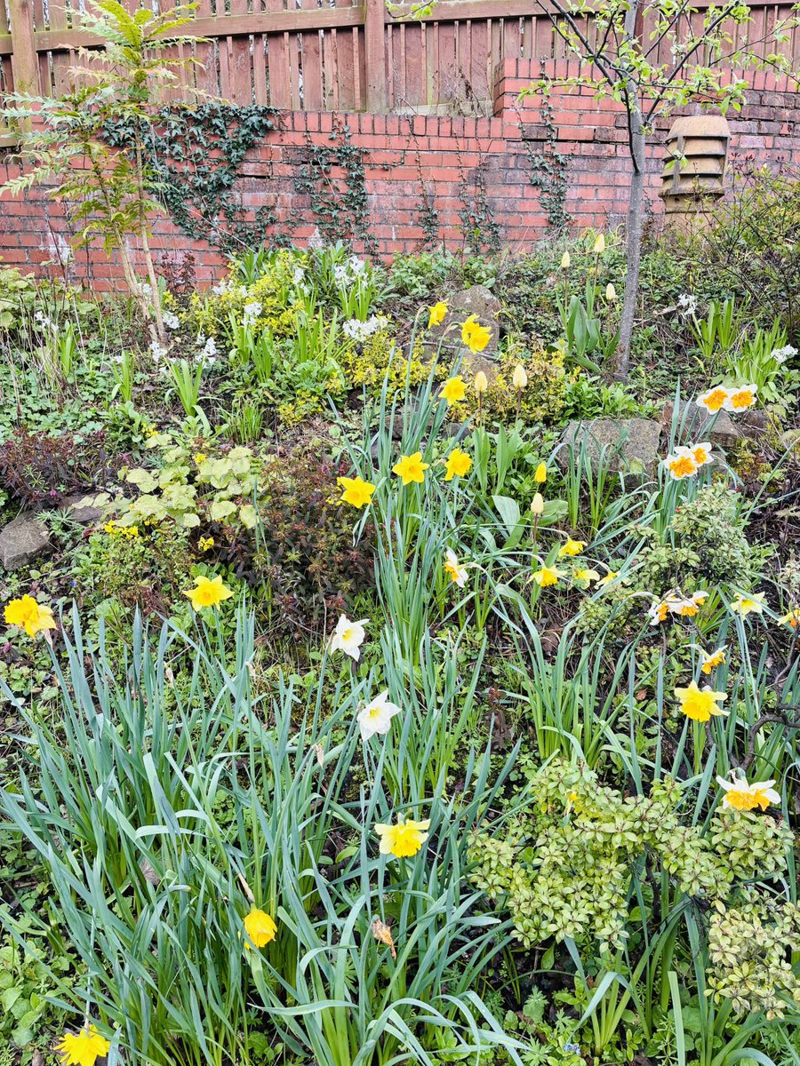 FoRoseHillStation tweet media