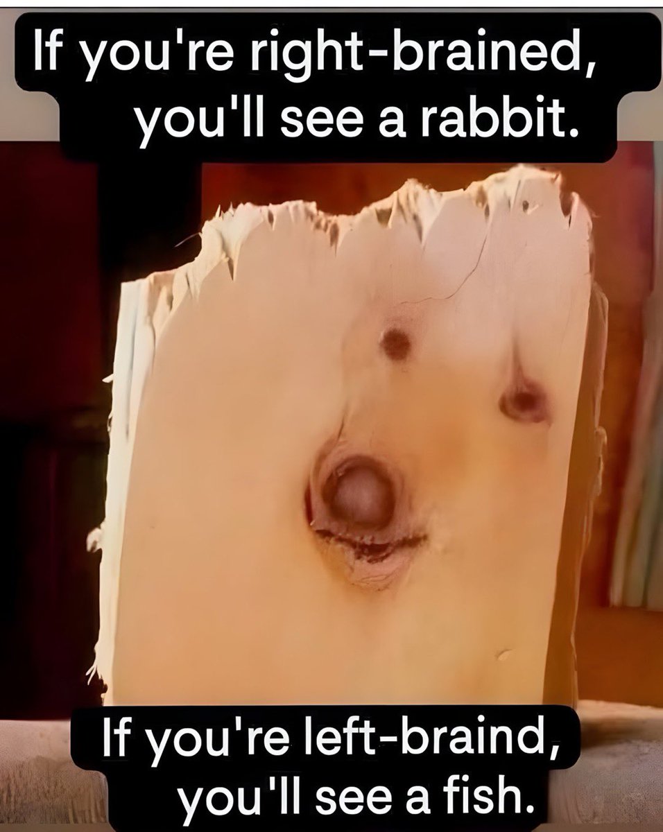 Honey Thoughts 🇺🇸 tweet media