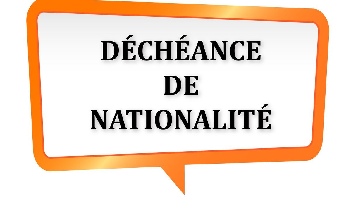 John LIBRE 🇬🇦🇨🇵💥🎯🎤 tweet media