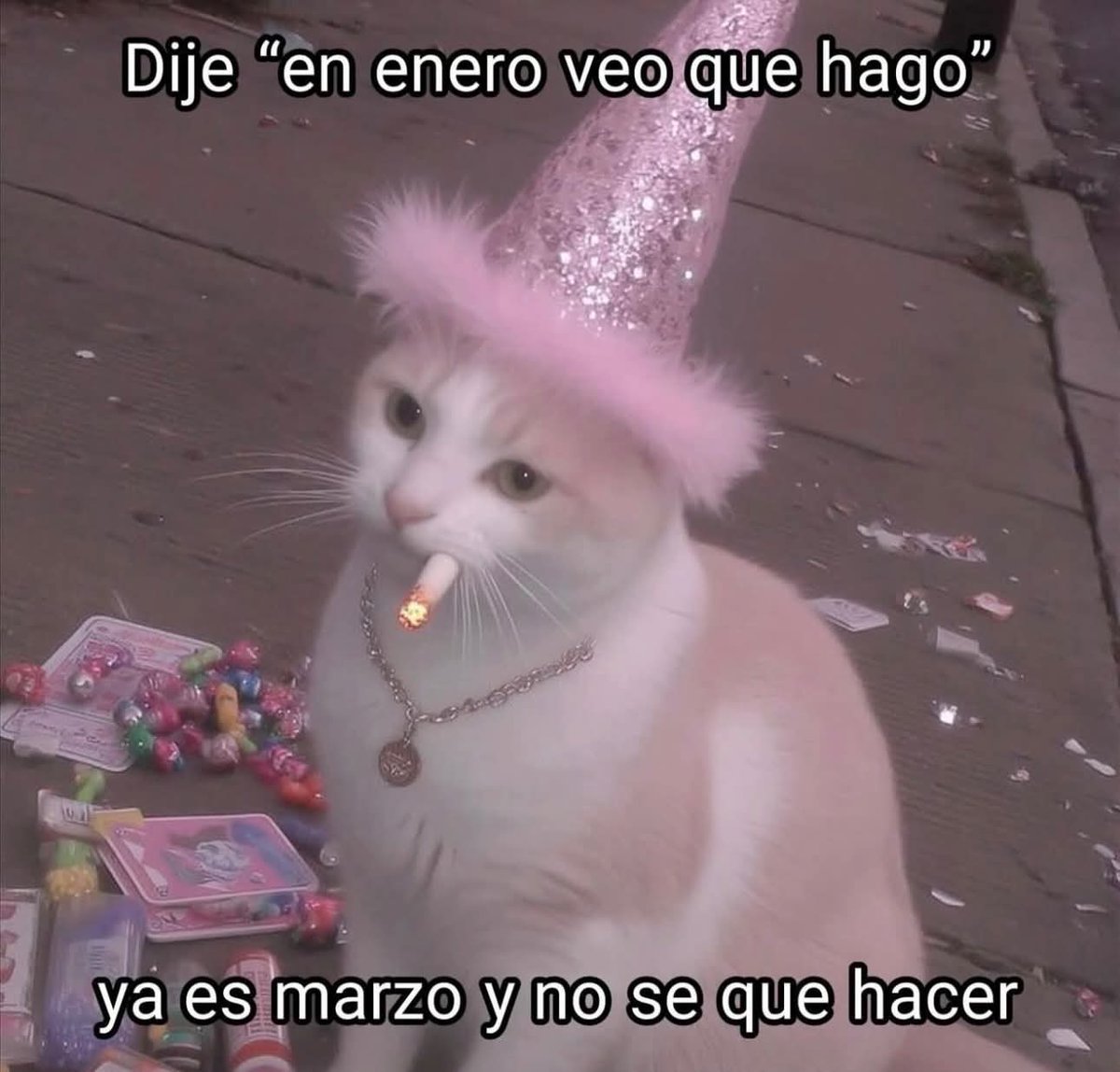 Nasty Poet tweet media