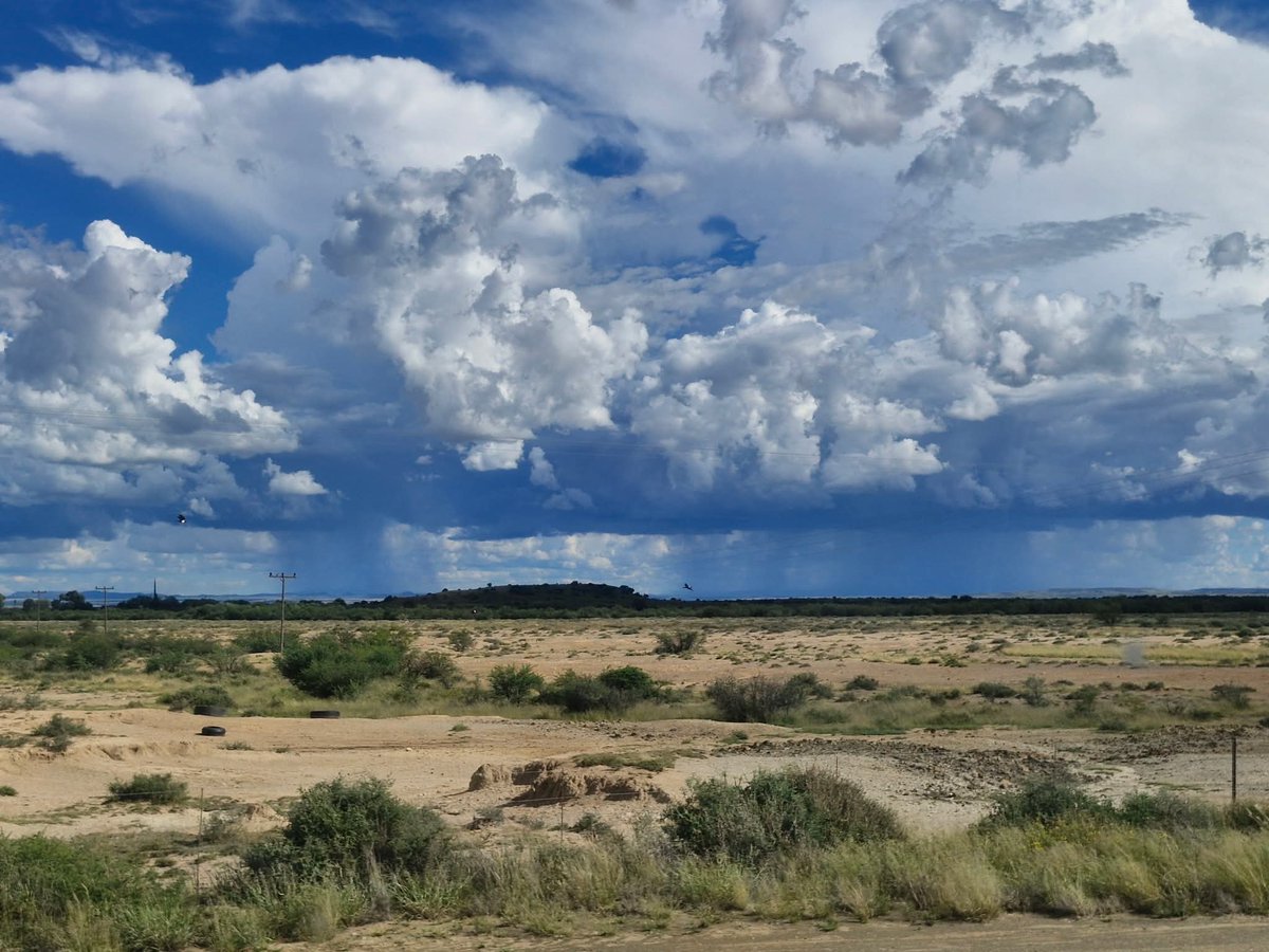 ReenvalSA tweet media