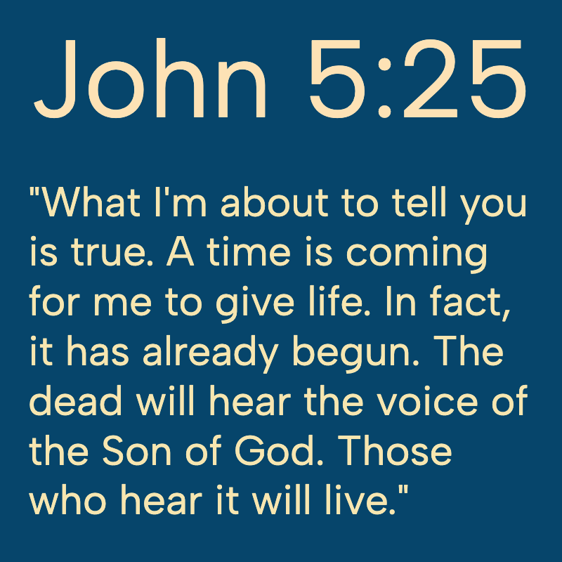 Daily Bible tweet media