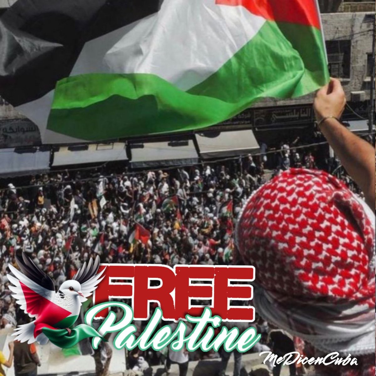 Yelenys Tornet Menéndez tweet media