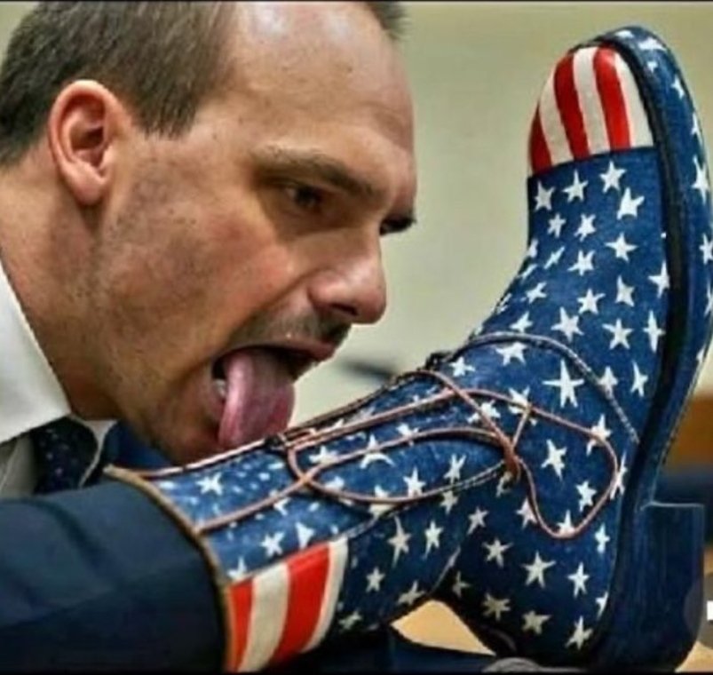 🇧🇷 Sônia ☘🇧🇷☘ tweet media