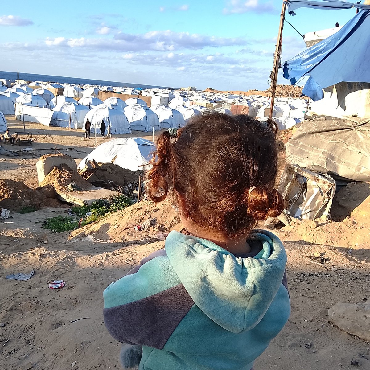 Nasreen Mohammed tweet media