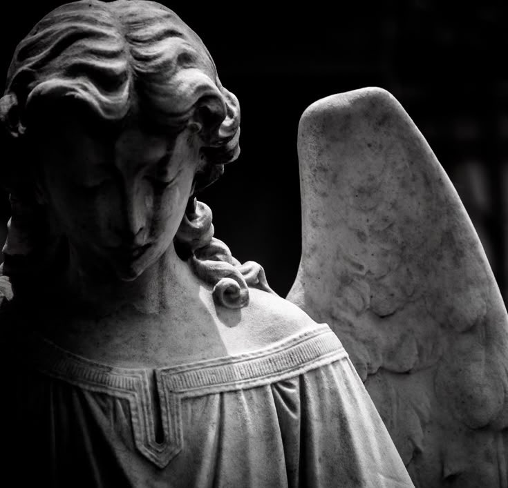 𝕰𝖉𝖊𝖇𝖎𝖞𝖆𝖙𝖆 𝕯𝖆𝖎𝖗 tweet media