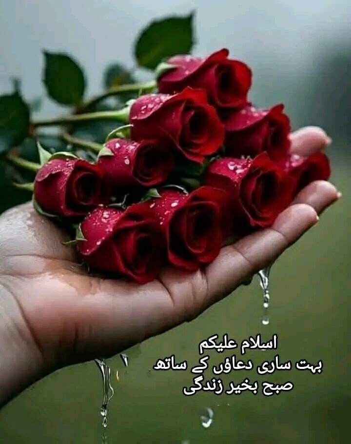 Abdul Razzaq tweet media