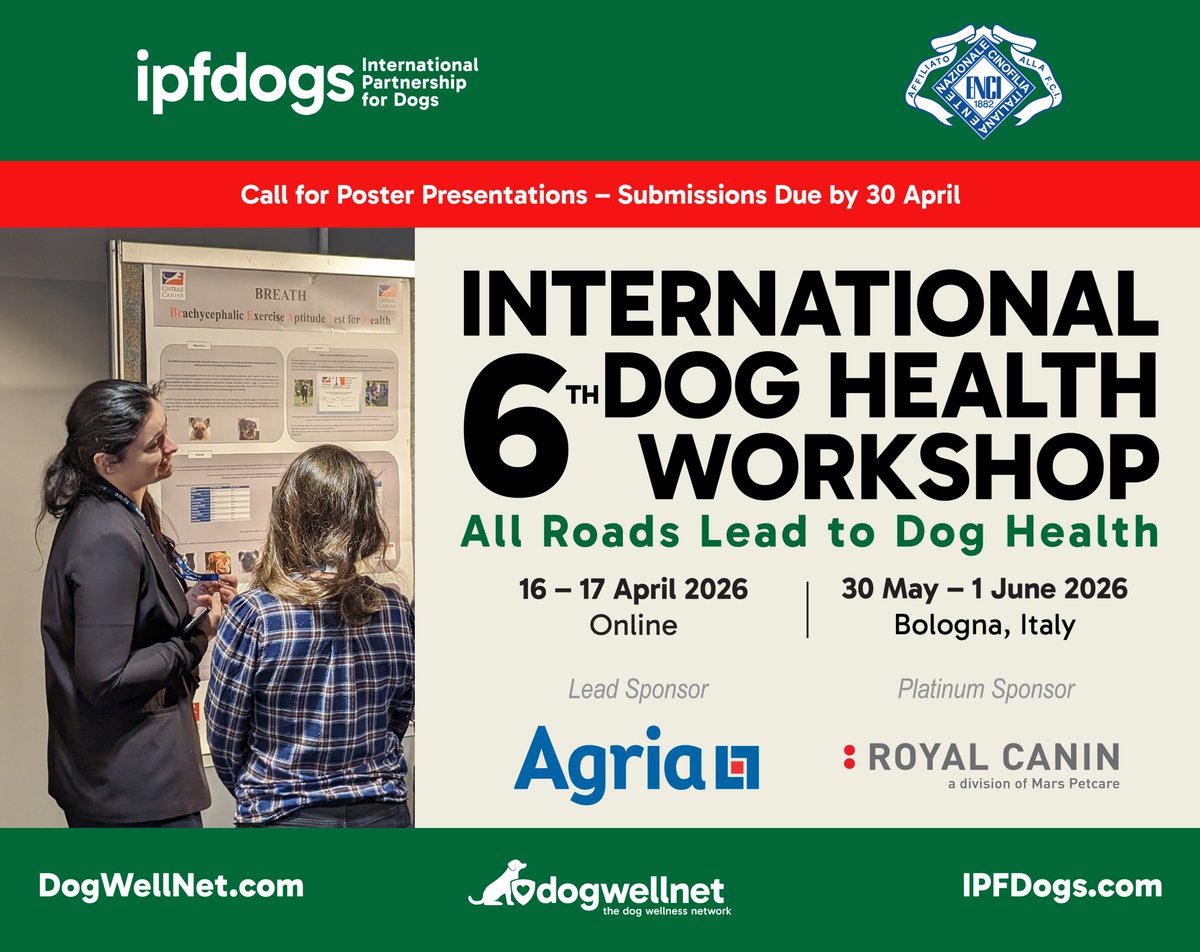 The International Partnership for Dogs (IPFDogs) tweet media