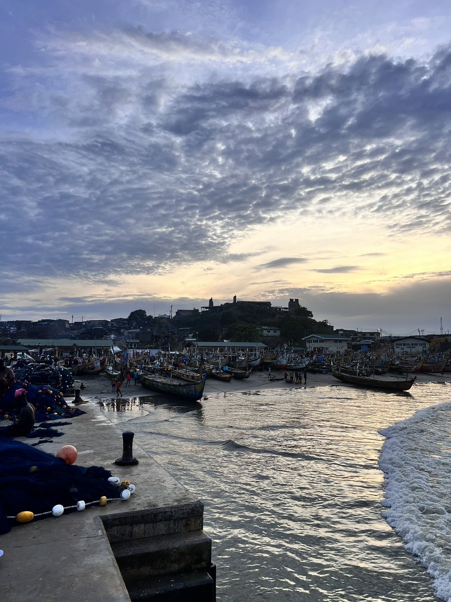 Efyakimora tweet media