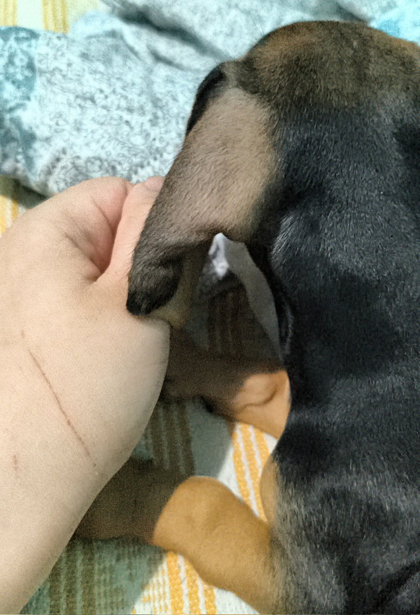 Mizuki 🦴 tweet media