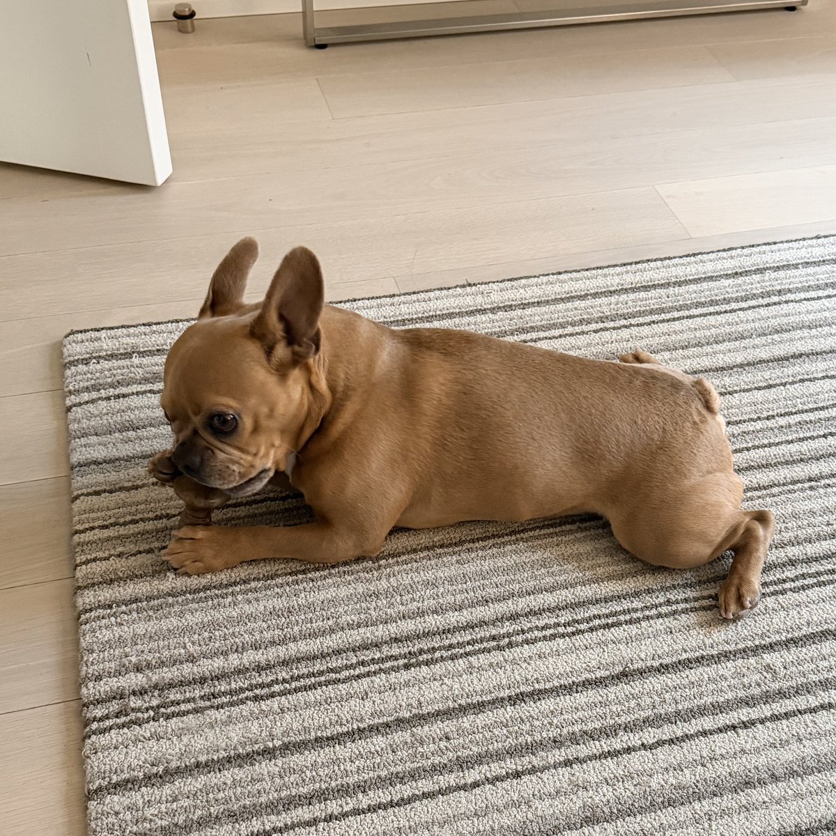 Jackie Wong tweet media