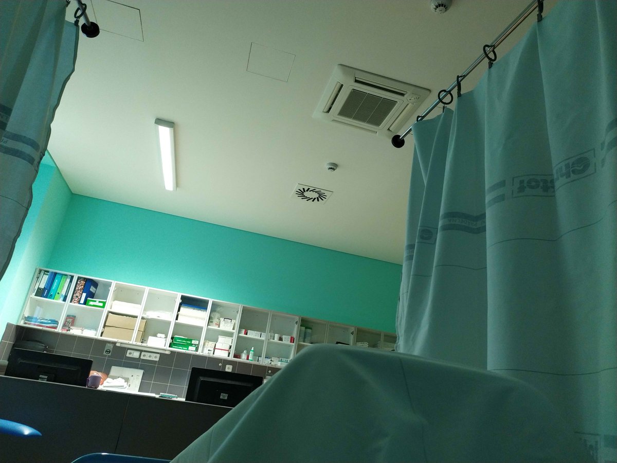 snowbright tweet media