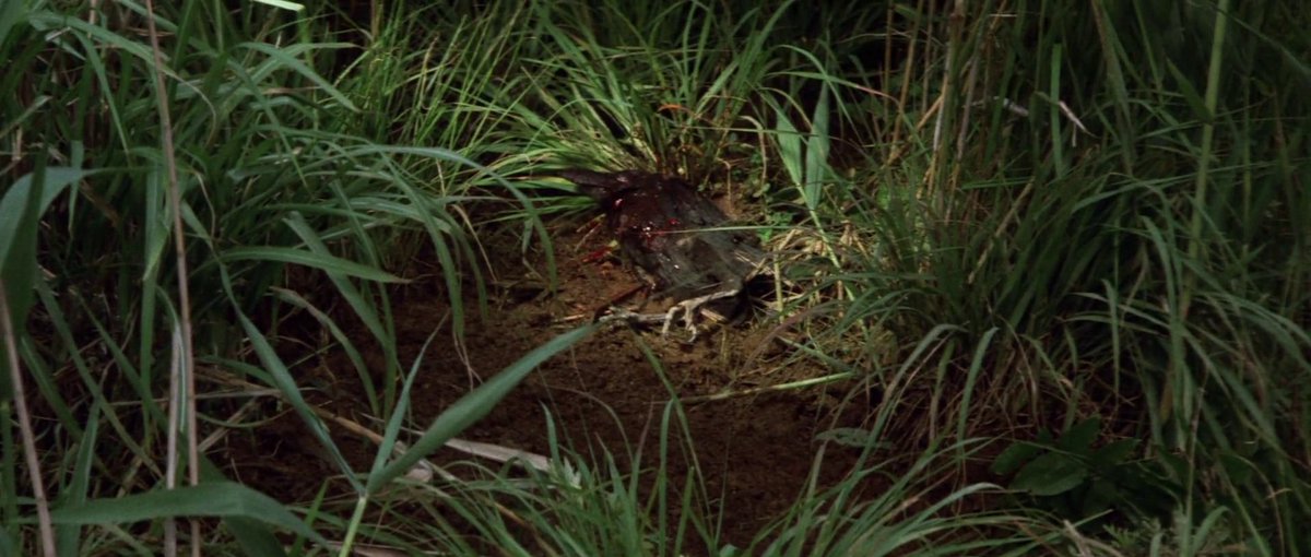 Esqueletos no Armário tweet media