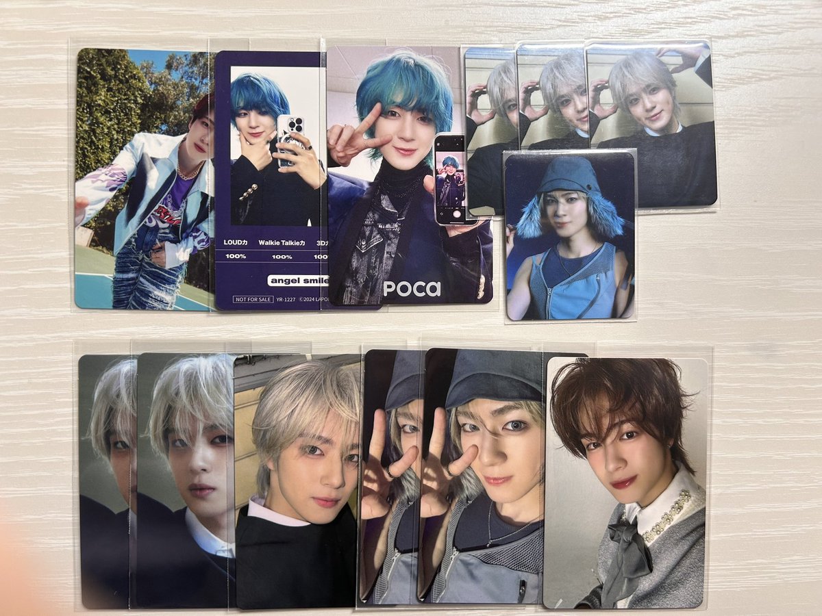 M 🐶🕊️ tweet media