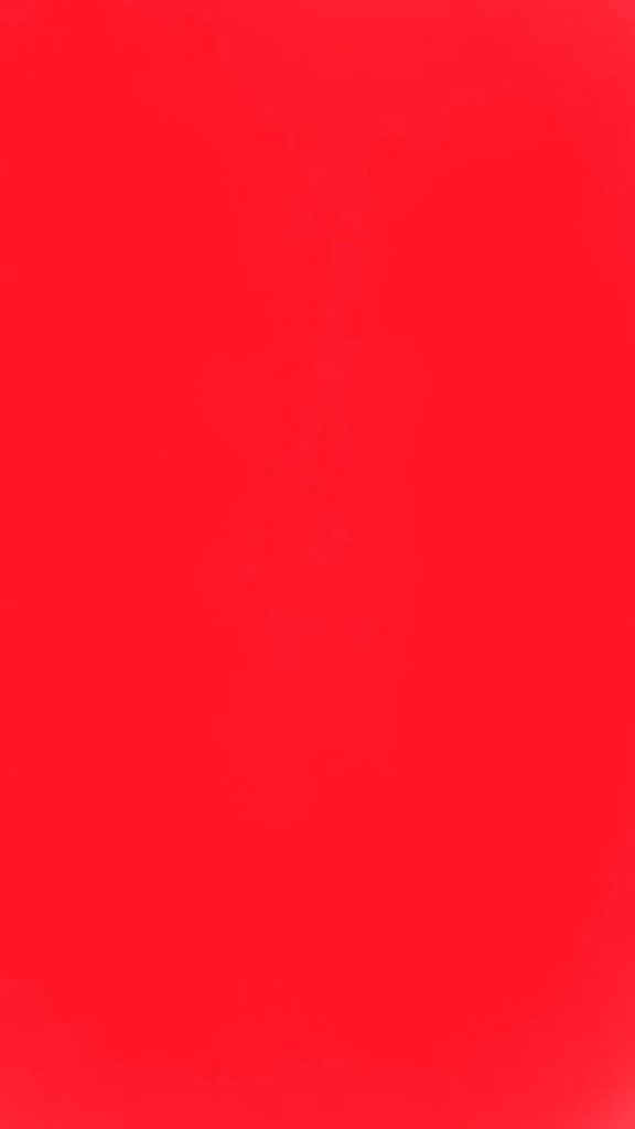 Ramin Nasibov tweet media