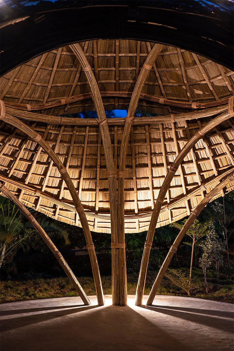 Kim Reilly tweet media