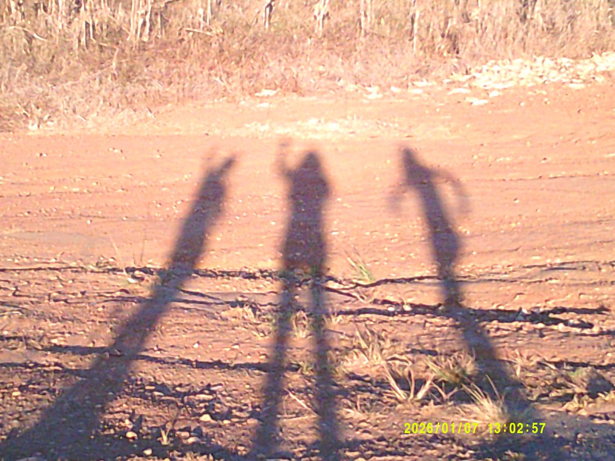 ʚ 𝒋𝗁𝖾𝗇𝗇𝗒 ɞ | 🪭 tweet media