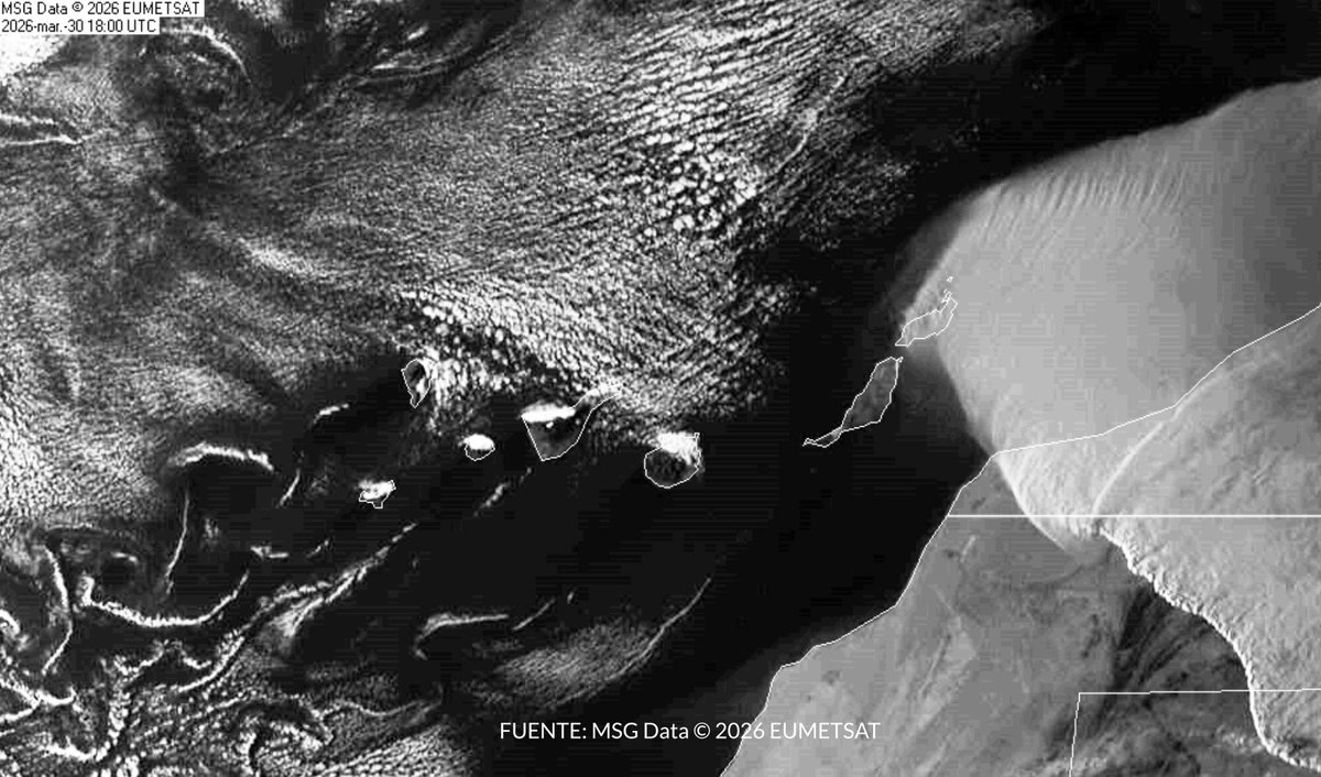 El Tiempo RTVC tweet media