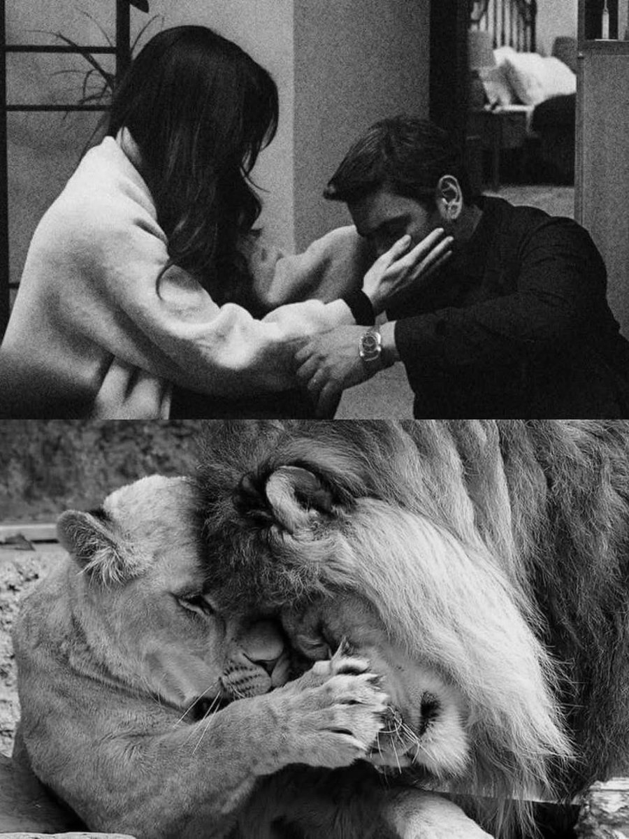 بحر 🌊 (@butterflless) on Twitter photo 