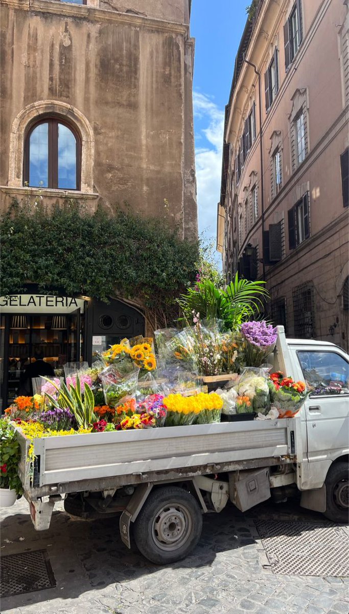 𝙰𝚕𝚒𝚣𝚎́. AU. tweet media