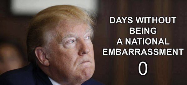 Seven Out tweet media